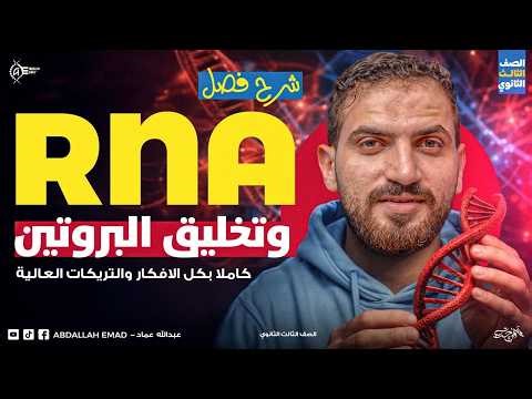 شرح RNA وتخليق البروتين والهندسة الوراثية | أحياء تالتة ثانوي 2026 | الفصل السادس كامل ببساطة