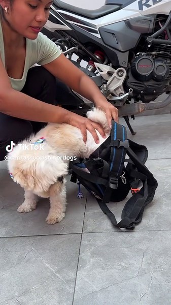 Aventuras de Petu en su Mochiperro Standley