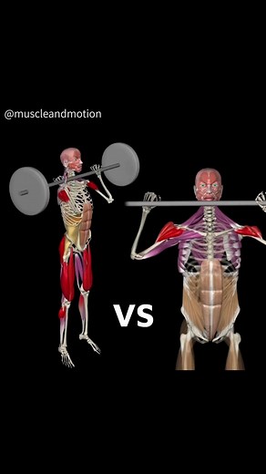 Push Press vs. Overhead Press: Unlocking the Key Differences