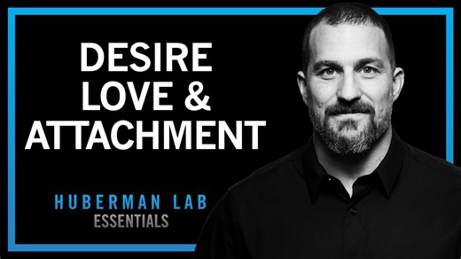 Essentials: The science of love, desire & attachment