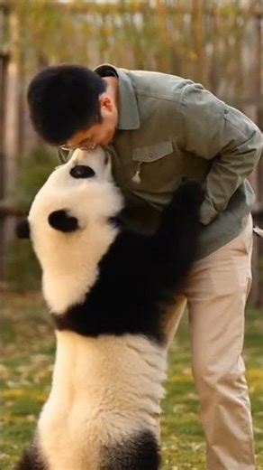 Animals Hug Their Humans So Wholesome #shorts