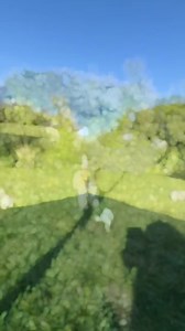 46K views · 3.1K reactions | It’s a beautiful day here at the rescue, Here’s Tiny Jack & friends Just now, 冀 We thank everyone for All for the kind wishes & support,  | Jack Russell Terrier Rescue UK | Facebook