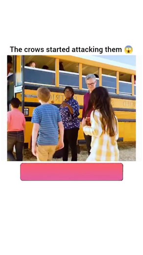 Movies | Entertainment | edits on Instagram: "9-1-1 (2018): In the unpredictable streets of Los Angeles, crises strike without warning—from massive disasters to bizarre, once-in-a-lifetime incidents. Police Sergeant Athena Grant (Angela Bassett) remains calm and resolute, committed to safeguarding her community while managing the demands of her personal life. Her strength and compassion make her a reliable anchor in a city where tension is constant. Her journey frequently intersects with Captain