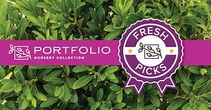 2.5K views · 17 reactions | Elevate landscapes for less with Portfolio Fresh Picks. Get hand picked, regional deals on select Portfolio products that rotate every month. Shop today and save: https://bit.ly/43Fgcwg | SiteOne Landscape Supply | Facebook