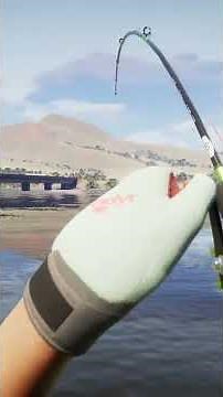 Mamlambo Catch Guide! COTW The Angler