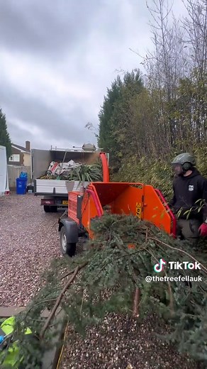 A Day in the Life of a Tree Surgeon