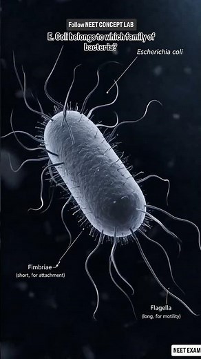 Escherichia coli (E. coli) bacteria 🦠 NEET BIOLOGY #neetpreparation #neetcoachings #neet2026 #neet