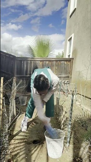 Drainage Problem Solution - Backyard