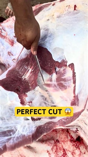 Insane Butcher Skills You Must See 😱