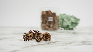 DIY Scented Pine Cones Recipe - Simply Earth Blog