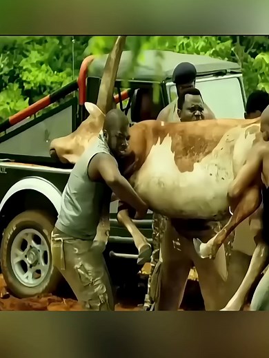 Bola Ajaib di Jurang Piranha #shorts #short #shortsviral #shorts #viral #interesting #gaya #trik #viraltiktok #amazing #alurcerita​ #alurfilm​ #ceritafilm​ #alurceritafilm​ #film #filmpendek #shortsfilm​ #rekomendasifilm​ #filmterbaik​ #movie​ #recap​
