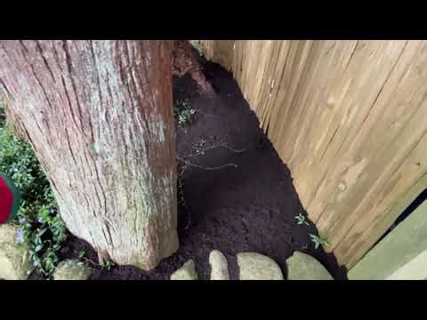 Spring Preparation Crucial for Vancouver Homeowners |Darrell Smith (#11)