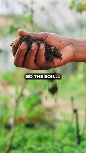 Wine Expert Explains TERROIR (It's Not That Complicated!) #winetasting