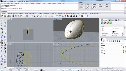 Welcome to Freeform Modeling In Rhino
