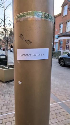 Limited Time Offer at The Belly Bar in Bromley North