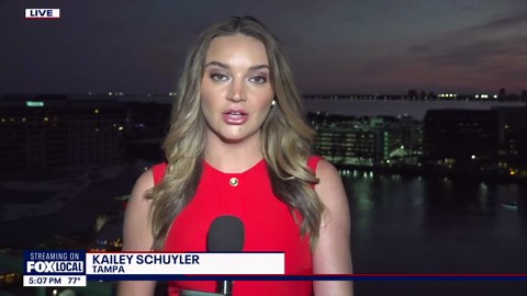 DOJ expanding Joint Task Force Alpha