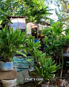 1.9M views · 51K reactions | I Spent A Day In Jamaica's Most Dangerous Slum | Drew Binsky | Facebook