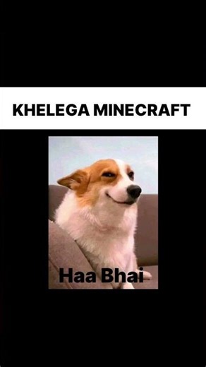 ⚡Mai & Bro Bhai Always Ready for Minecraft🔥
