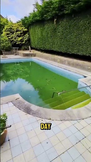 Clean Green Pool After Winter Fast #shorts