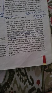 These involuntary muscles are called muscles [Fig. 6.11(c)]. He... | Filo