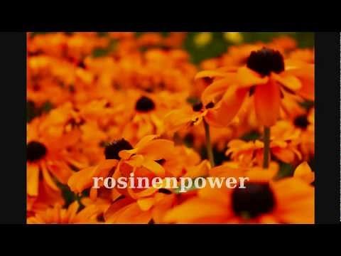 Canon Eos 1100D Fotos