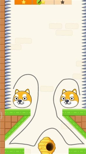 funny games 🤭_save my pet#hard levels 🤯//#games //#fun //#funny //#cat //#honeybees //#gameplay