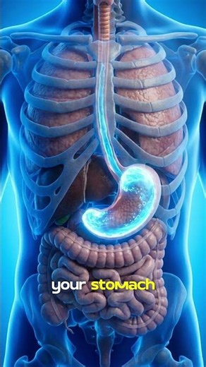 💧 What really happens inside your body when you drink water?