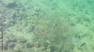 Fish trap at the bottom of the sea. Fishes inside trap. Sea fishing. Wire mesh fish trap in the water.
