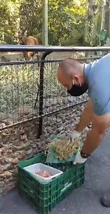Confira como foi o passeio virtual no Zoológico. | Zoo Pomerode