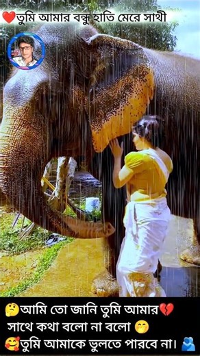 ❤️My Elephants 🐘is my companion on my journey, my elephant is my friend🫂