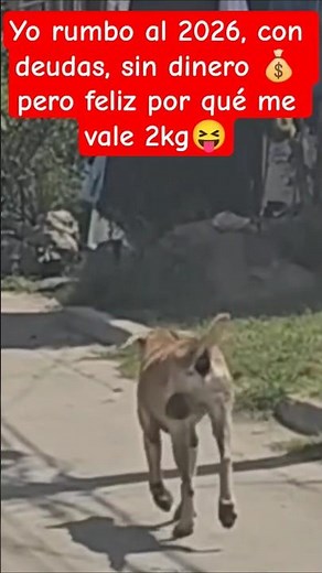 Me identifique, no sé por qué 😝#shortvideo #shorts #short #humlr