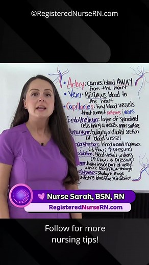 Vascular System Terms for Nursing Students