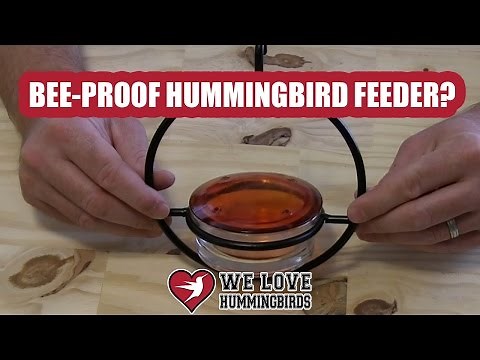 Best Bee Proof Hummingbird Feeder Ever?