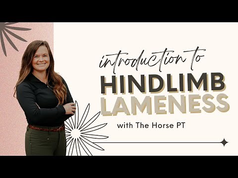 Finding Hindlimb Lameness with The Horse PT