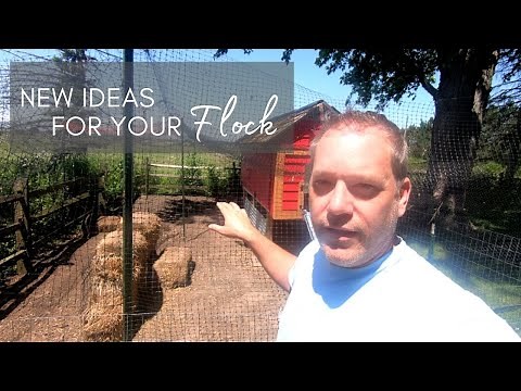 Backyard Chicken Run Ideas