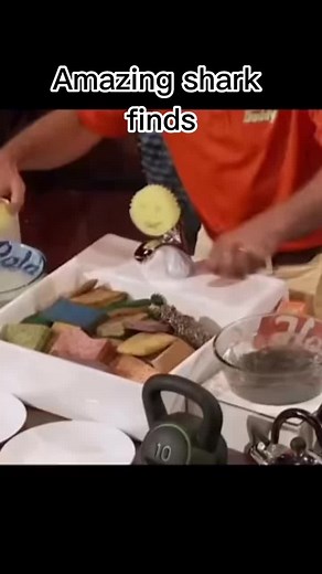 Scrub Daddy Shark Tank Pitch: Innovative Cleaning Solutions
