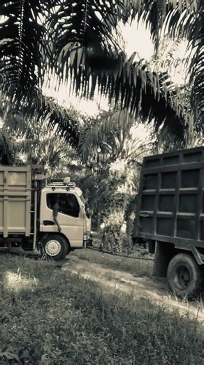 Alfian Project-26 (@al628245)’s videos with suara asli - Al - Alfian Project-26