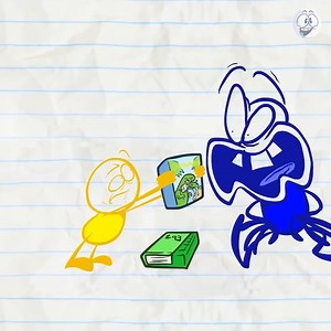 12K views · 196 reactions | Always KEEP It Classy! | Pencilmation | Facebook