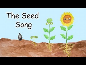 The Seed Song - What Do Seeds Need