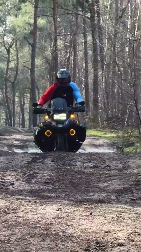 Riding the BMW GS through bumpy forest trails.