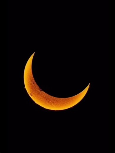 "Discord" || Zero Two Edit! || Darling in the Franxx!