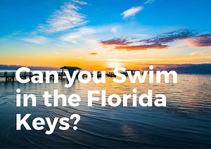 Can You Swim in the Florida Keys? (ALL You Need to Know) – TravelPeri