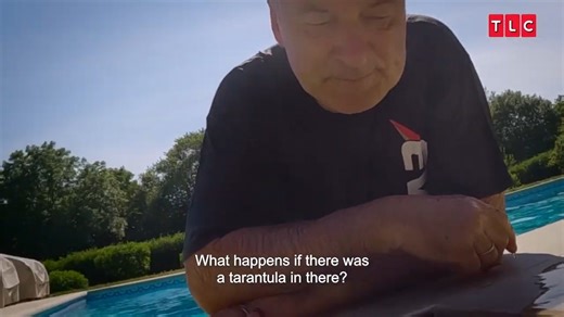 Alec Baldwin and the kids clean bugs out of the pool on "The Baldwins": "Let other people go to the South of France and sip wine..." 😆 | Extra