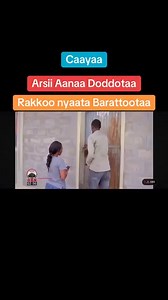 OBN Dameen Caayaa Gabaasaa Sobaa Saaxiluu akkuma itti fufetti jira | Obsa Bayan