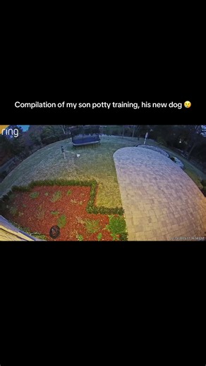 Words of Affirmation and Sentimental Moments