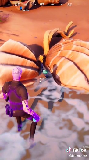 Jelly Playing Fortnite: The Jellies Vibin' in the Game