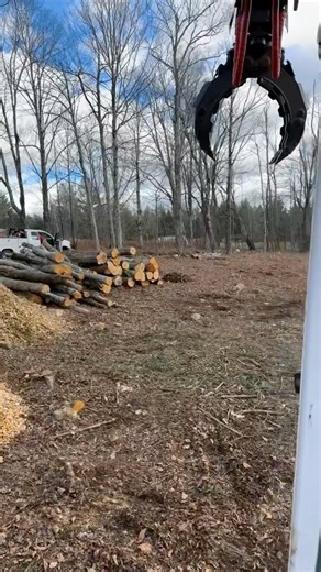 Quick clearing for a new building lot. | Four Seasons Property Maintenance