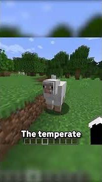 Mojang FINALLY Added Sheep Variants To Minecraft…