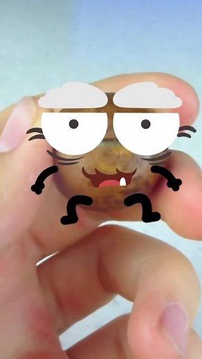 DOODLAND (@doodland)’s videos with original sound - DOODLAND