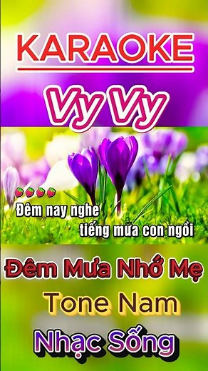 Karaoke Đêm Mưa Nhớ Mẹ Tone Nam Nhạc Sống | Beat Chuẩn Dễ Hát #karaoke #bolero #nhacsong